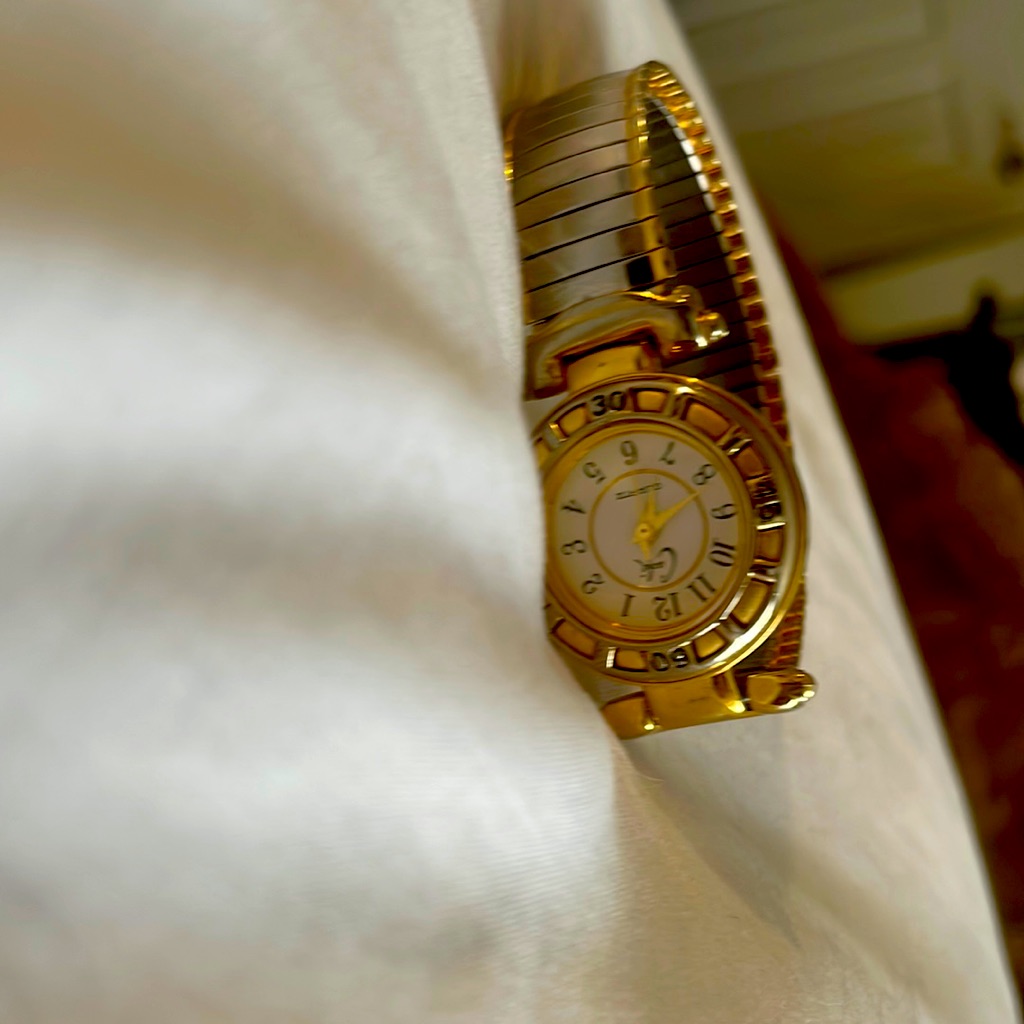 Watch Stainless Steel 12$